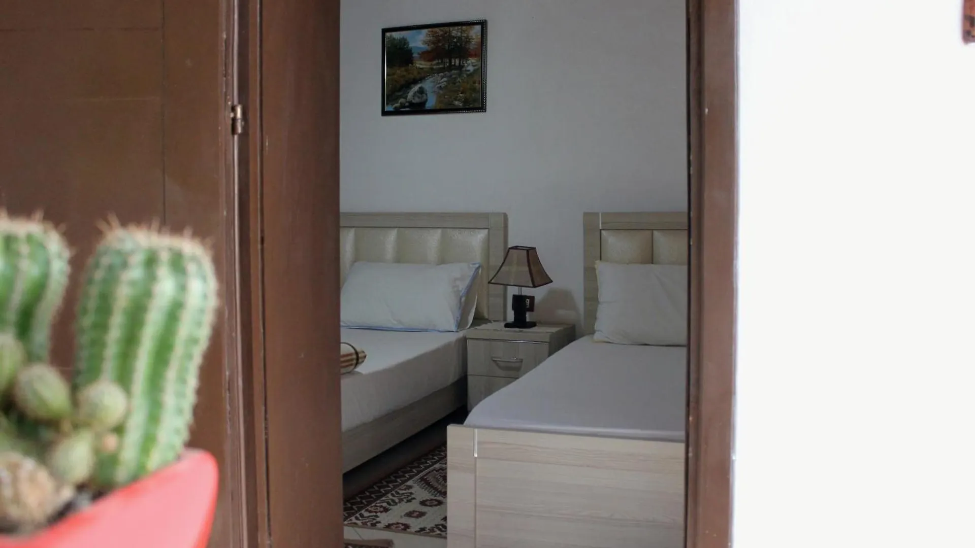 Tomor Shehu Guest House Berat