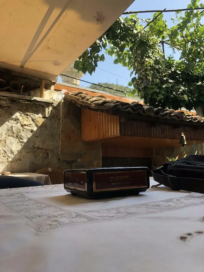 Tomor Shehu Guest House Berat